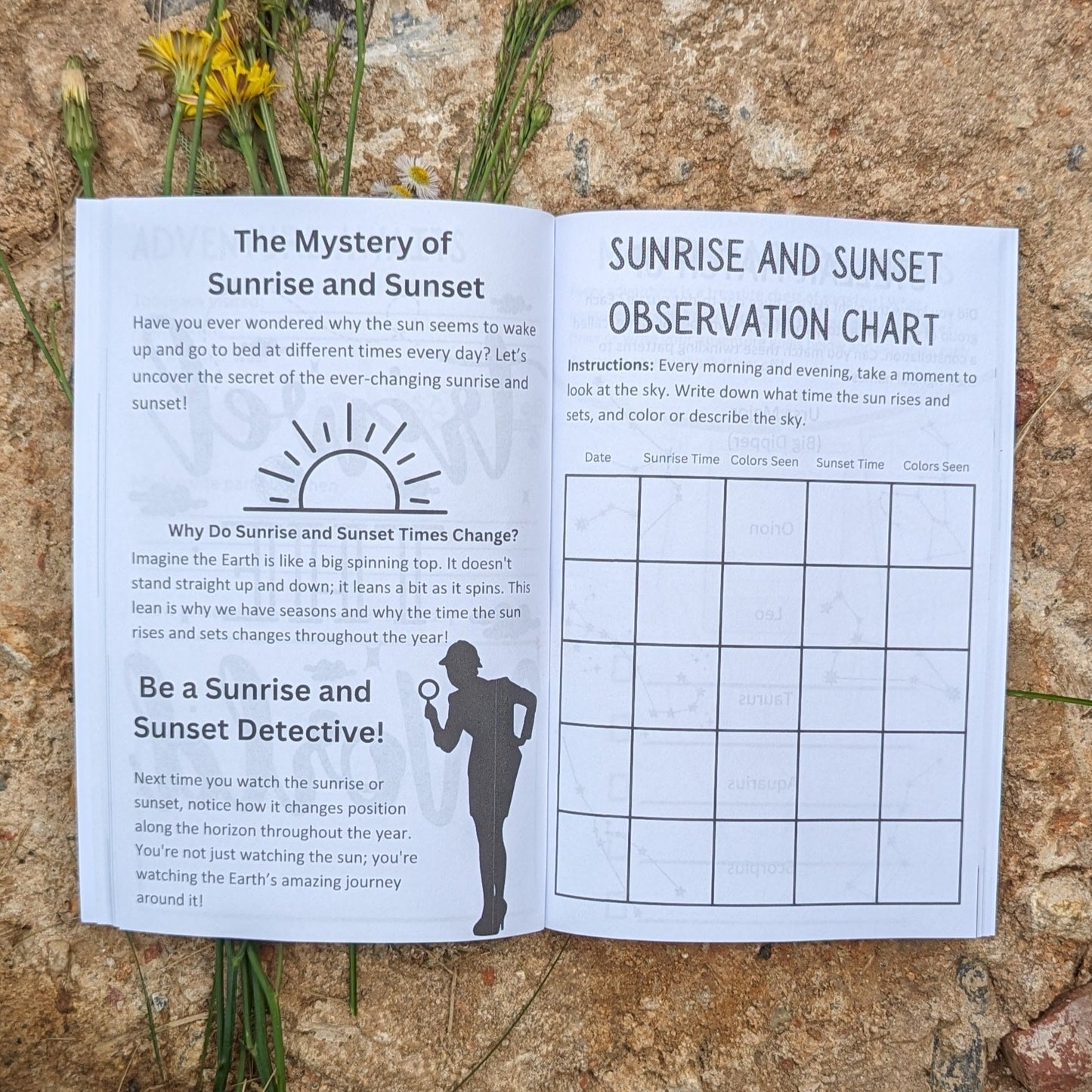 North Carolina Great Trail State Workbook | Outdoor Activity Workbook for Kids