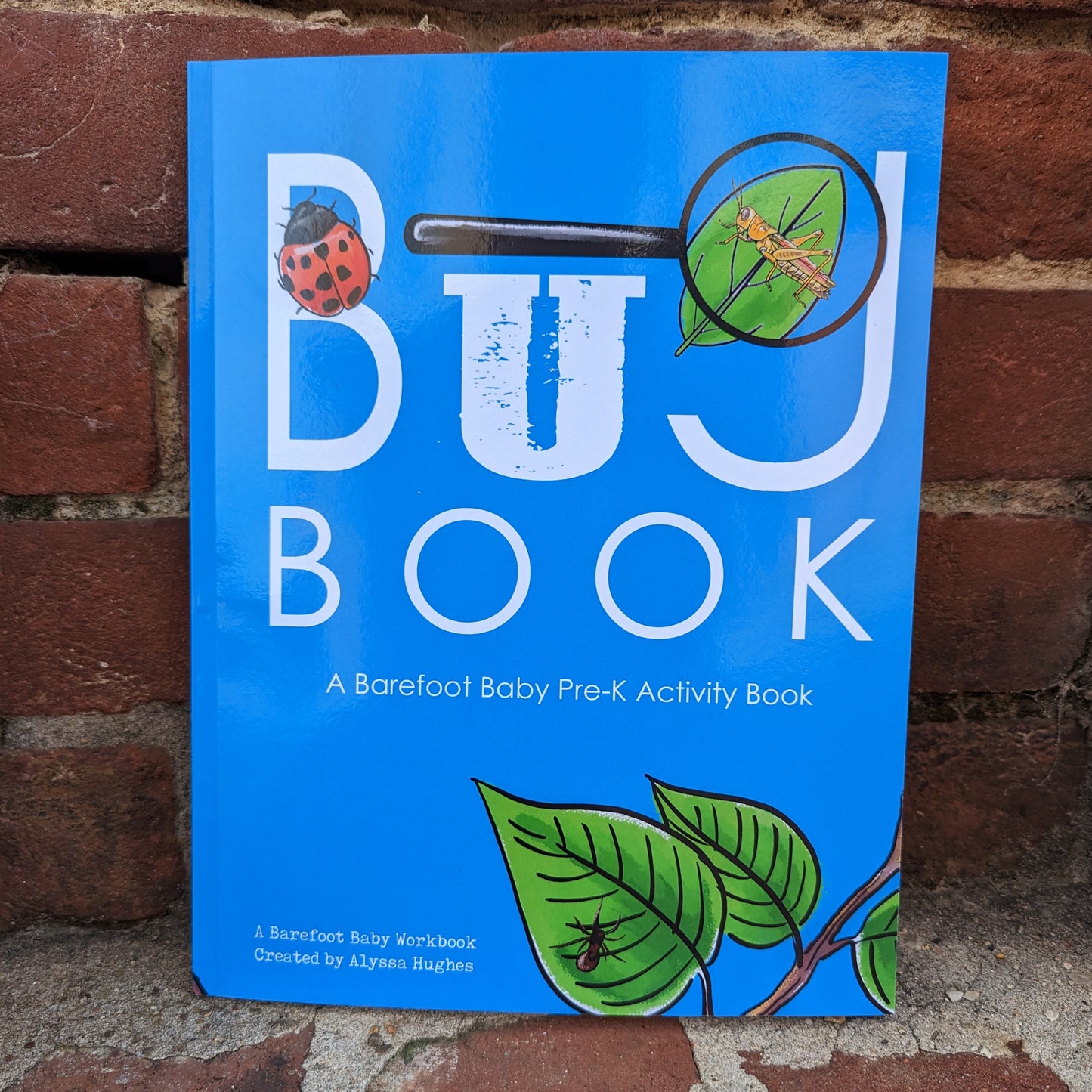 Bug Book | Bug Theme Pre-K Workbook