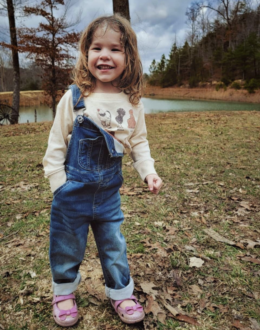Chicken Breeds Toddler Long Sleeve Shirt