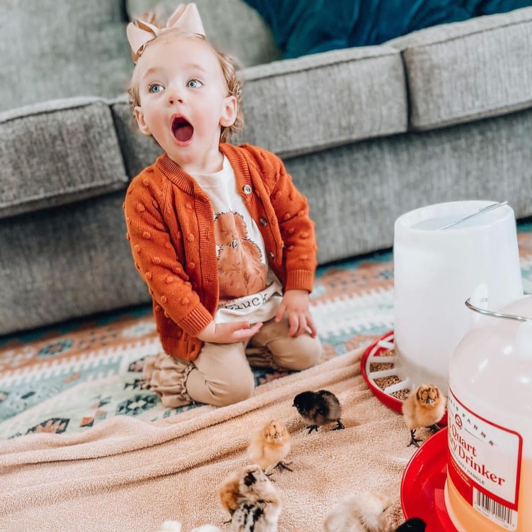 Silkie "cluck" Youth/Toddler Tee