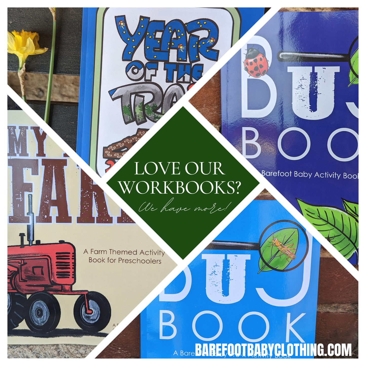 Bug Book | Bug Theme Pre-K Workbook