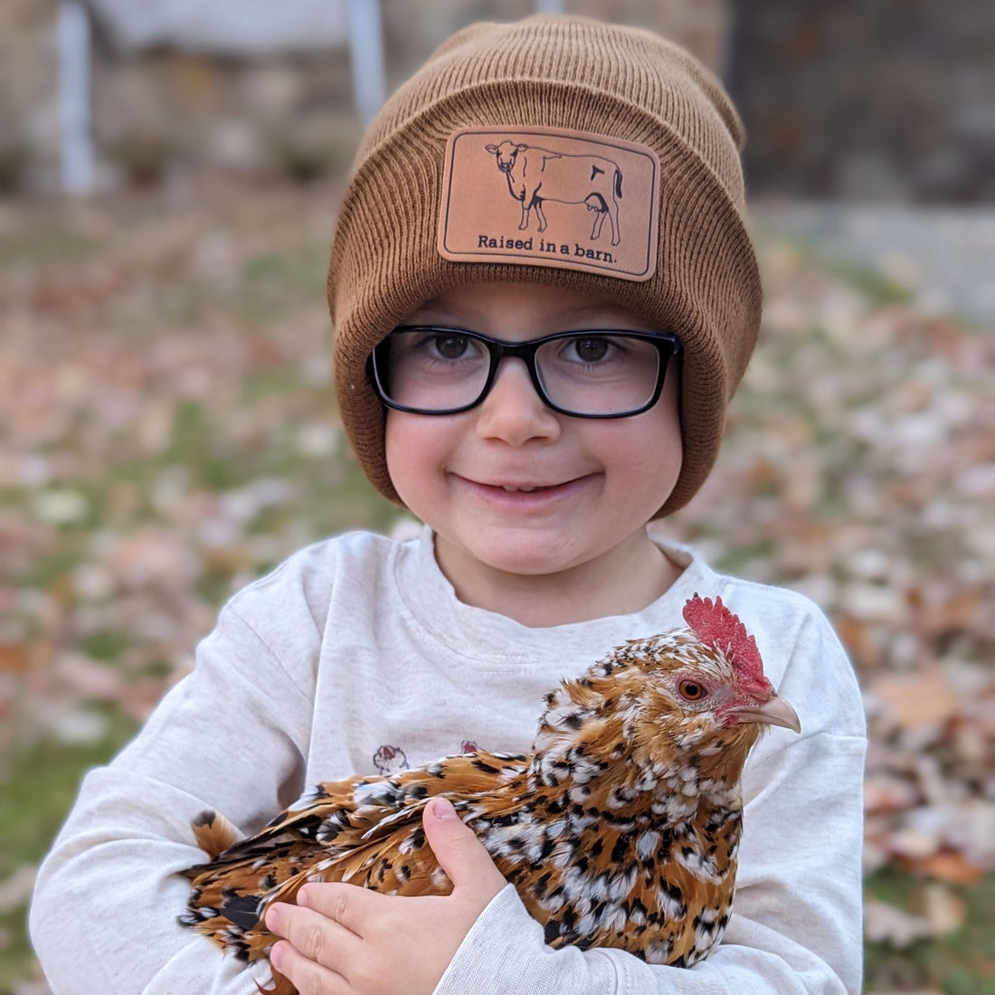 Feathered Classmates: Why This Homeschool Family Chose Chickens