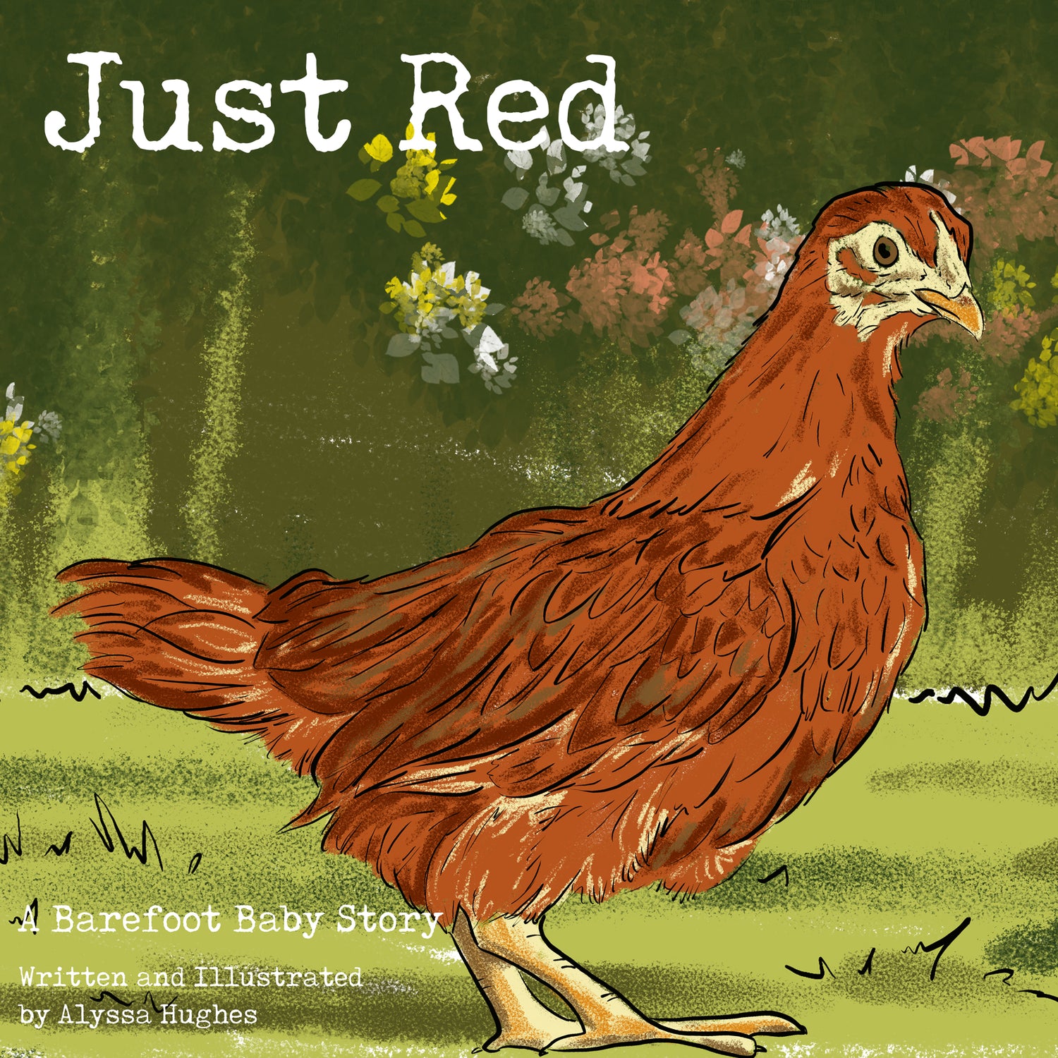 Illustrated Books & Workbooks