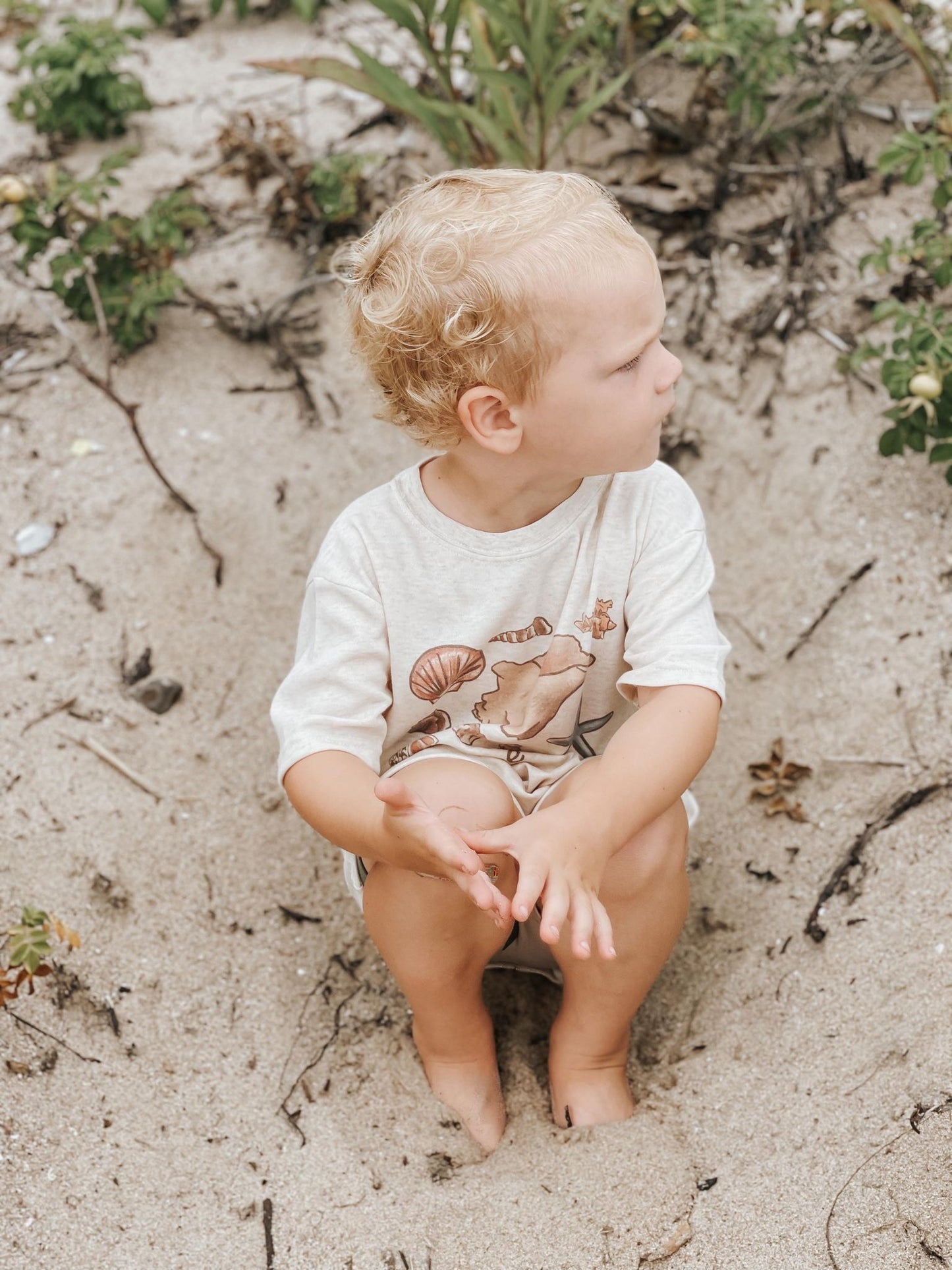 Shell "Collector" Ocean Beach Tee for Toddler or Youth