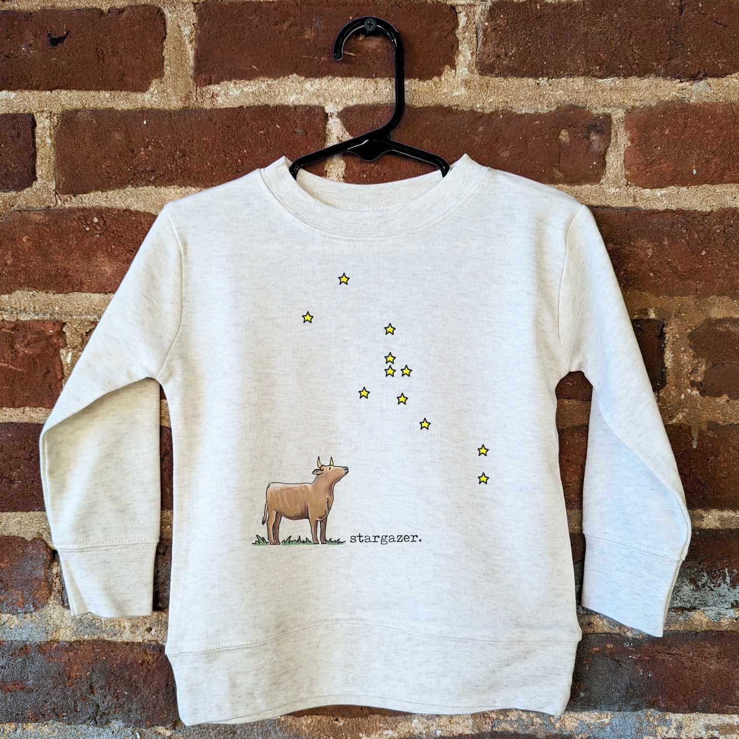 Stargazer Cow Long Sleeve Tee