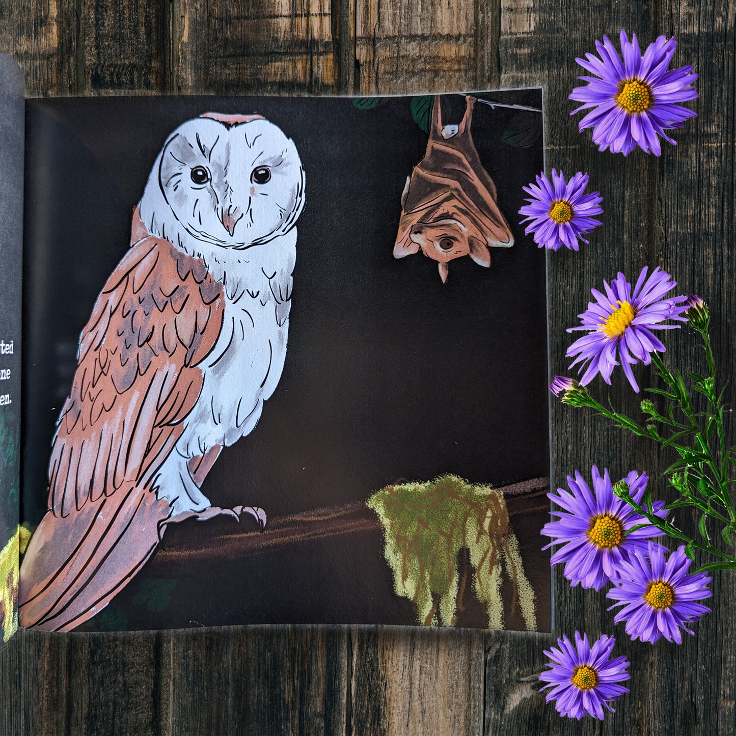 The Spooky Barn Owl Illustrated Children's Book SIGNED By Author, Alyssa Hughes
