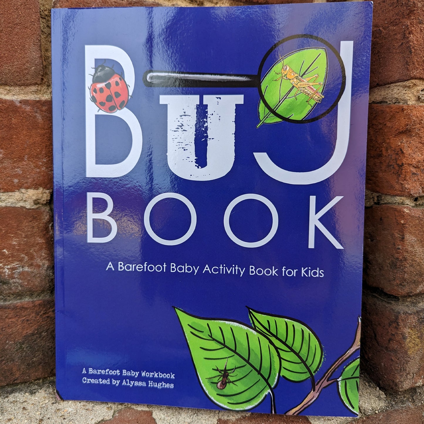 Bug Book | Bug Theme EARLY ELEMENTARY Workbook