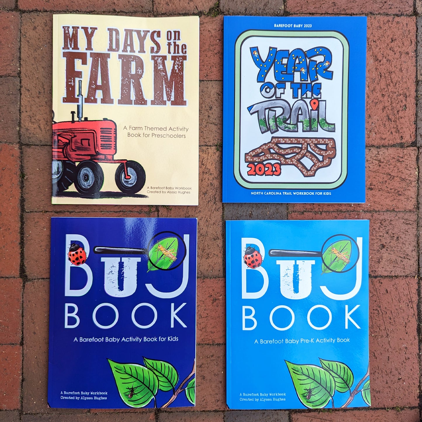 Bug Book | Bug Theme EARLY ELEMENTARY Workbook